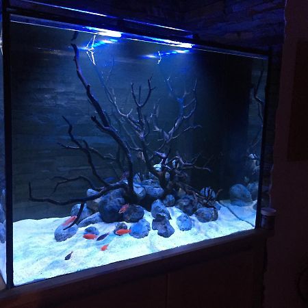 塞辛布拉Aquarium House公寓 外观 照片